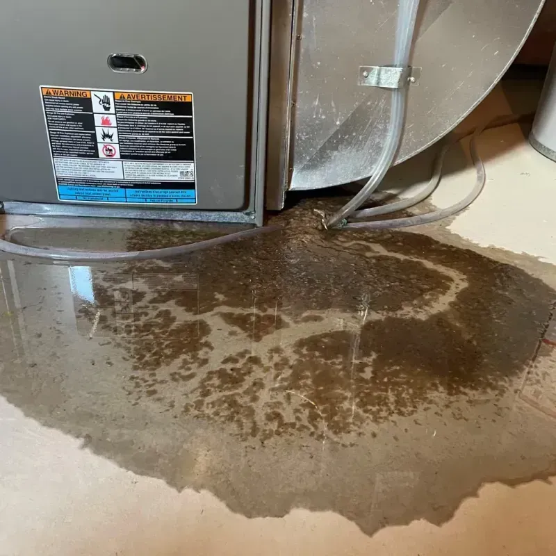 Appliance Leak Cleanup in Bleckley County, GA